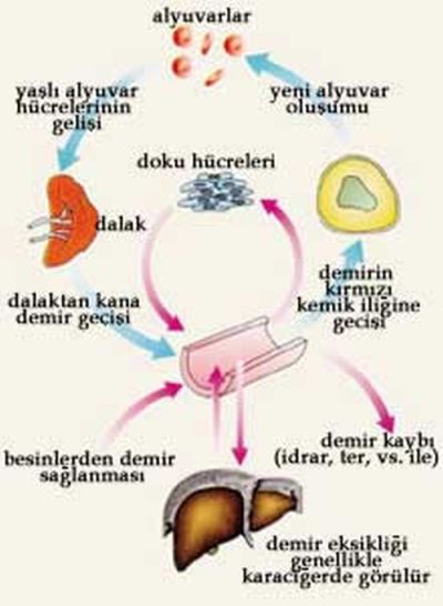 Ad: d6.jpg
Gösterim: 4941
Boyut: 29.5 KB