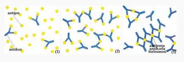 Ad:  d7.JPG
Gsterim: 3959
Boyut:  24.9 KB