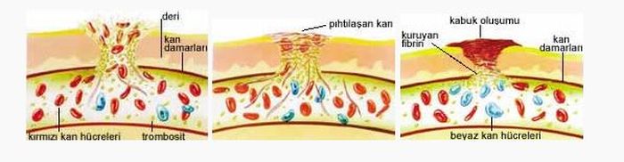 Ad:  d8.JPG
Gsterim: 4003
Boyut:  32.9 KB
