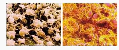 Ad: d9.JPG
Gösterim: 3927
Boyut: 33.0 KB