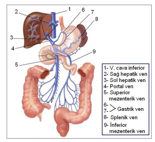 Ad: portaldolaş.JPG
Gösterim: 5326
Boyut: 51.7 KB