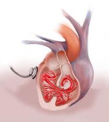 Ad:  frk.jpg
Gsterim: 488
Boyut:  6.6 KB