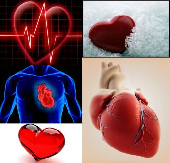 Ad:  kalp.jpg
Gsterim: 541
Boyut:  21.9 KB