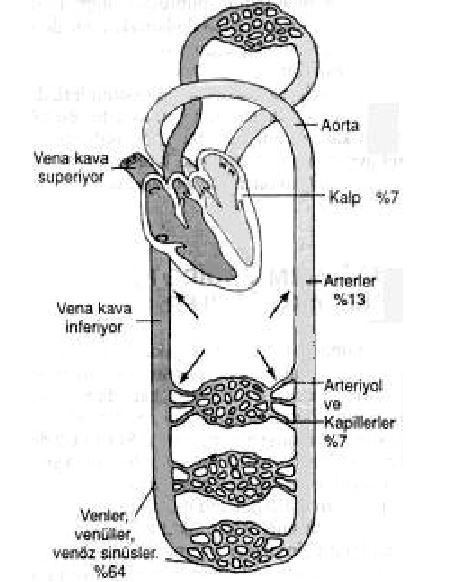 Ad: dolsis1.JPG
Gösterim: 4227
Boyut: 51.7 KB