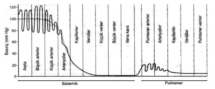 Ad: dolsis2.JPG
Gösterim: 3714
Boyut: 41.1 KB