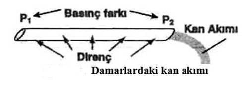 Ad: dolsis3.JPG
Gösterim: 4175
Boyut: 18.4 KB