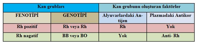 Ad:  kan9.JPG
Gsterim: 33350
Boyut:  30.7 KB