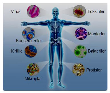 Ad:  bas1.JPG
Gsterim: 2746
Boyut:  28.1 KB