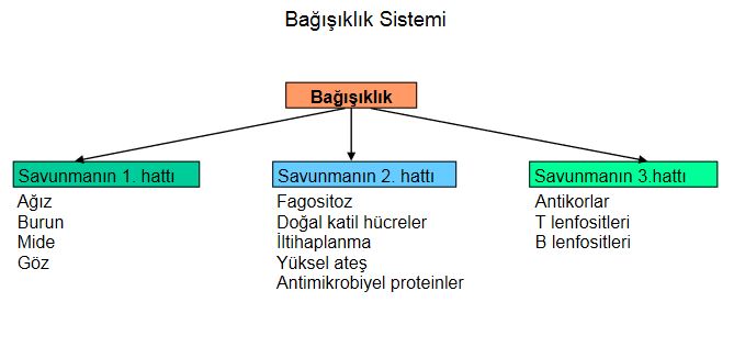 Ad:  bas2.JPG
Gsterim: 5003
Boyut:  32.8 KB