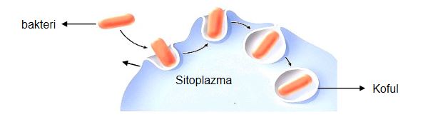 Ad:  bas3.JPG
Gsterim: 1586
Boyut:  17.1 KB