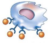 Ad:  bas8.JPG
Gsterim: 1279
Boyut:  11.9 KB