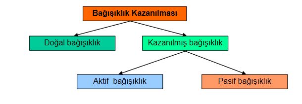 Ad:  bas12.JPG
Gsterim: 1765
Boyut:  24.0 KB