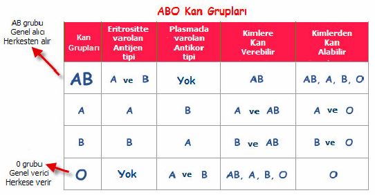 Ad:  kanabo.JPG
Gsterim: 39139
Boyut:  34.1 KB