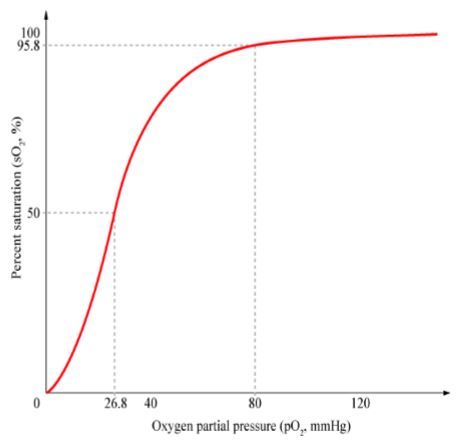 Ad: hem1.JPG
Gösterim: 9913
Boyut: 20.0 KB