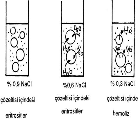 Ad: hem2.JPG
Gösterim: 9691
Boyut: 35.3 KB