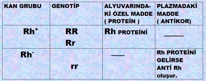 Ad:  kang2.JPG
Gsterim: 30705
Boyut:  48.4 KB