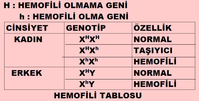 Ad:  kang7.JPG
Gsterim: 30611
Boyut:  52.6 KB