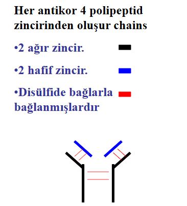 Ad:  ims1.JPG
Gsterim: 1866
Boyut:  26.6 KB