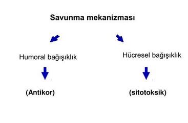 Ad:  ims5.JPG
Gsterim: 1430
Boyut:  14.8 KB