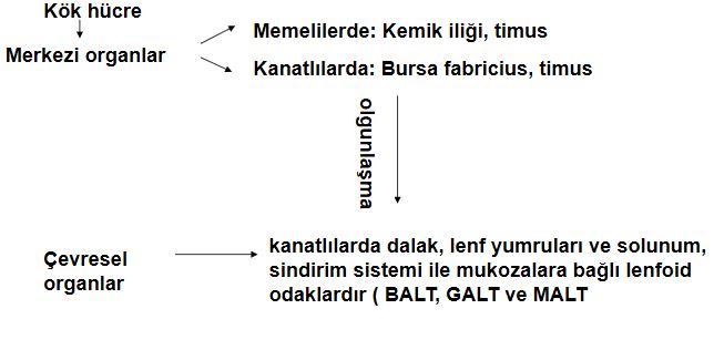 Ad:  ims6.JPG
Gsterim: 1404
Boyut:  35.1 KB