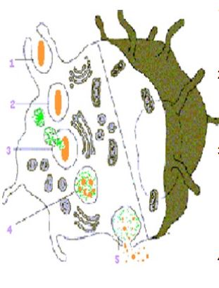 Ad:  ims12.JPG
Gsterim: 1313
Boyut:  28.4 KB