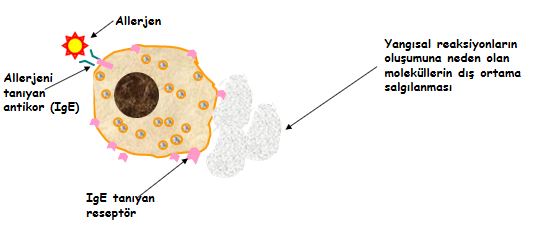 Ad:  ims13.JPG
Gsterim: 1487
Boyut:  23.6 KB