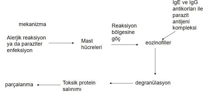 Ad:  ims14.JPG
Gsterim: 1359
Boyut:  28.5 KB