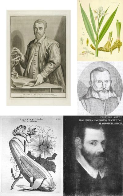 Ad:  alpini.jpg
Gsterim: 343
Boyut:  48.2 KB