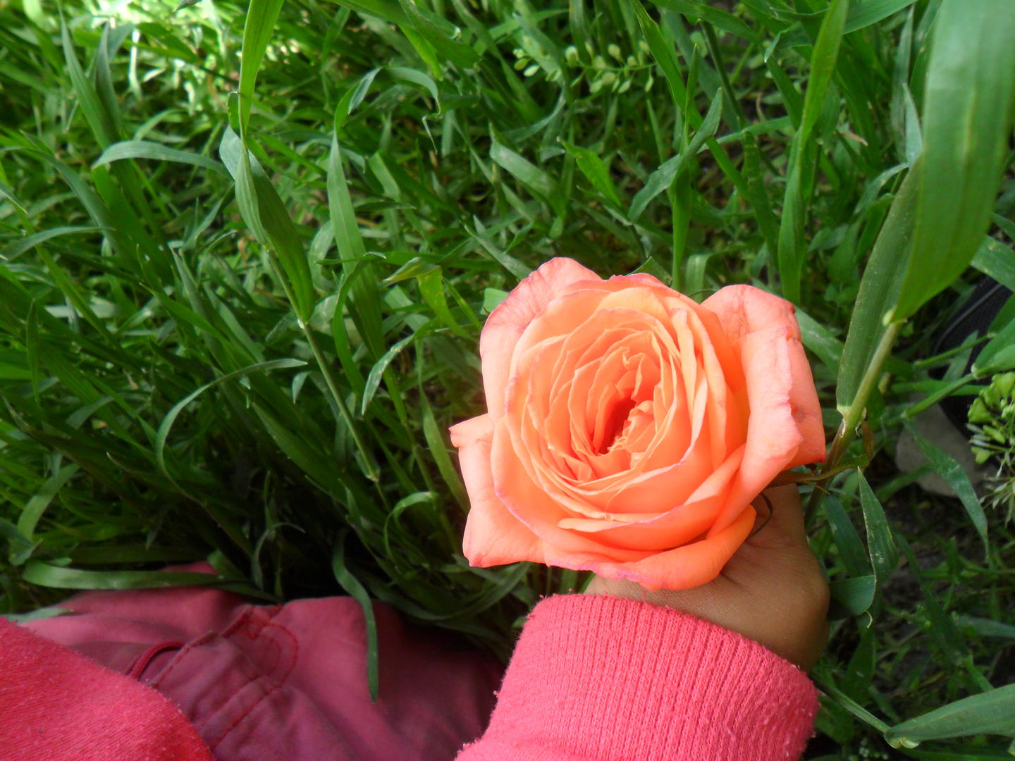 Ad:  SAM_0515.jpg
Gsterim: 479
Boyut:  215.4 KB