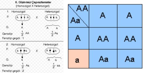 Ad:  hom geter2.jpg
Gsterim: 67643
Boyut:  22.2 KB