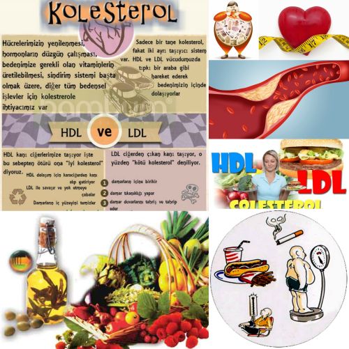 Ad: kolesterel2.jpg
Gösterim: 2652
Boyut: 67.3 KB