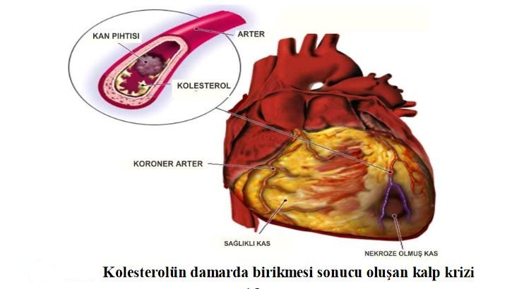 Ad: kol1.JPG
Gösterim: 2726
Boyut: 43.6 KB