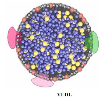Ad:  kol4.JPG
Gsterim: 2166
Boyut:  29.4 KB
