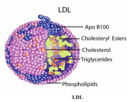 Ad: kol5.JPG
Gösterim: 2243
Boyut: 30.9 KB