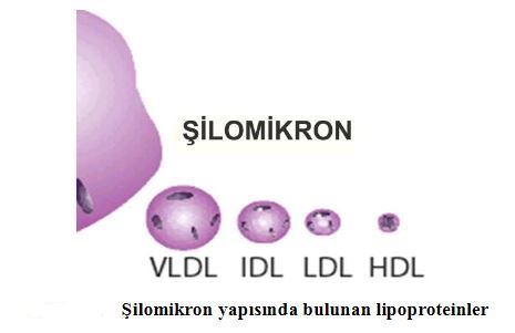 Ad: kol8.JPG
Gösterim: 2051
Boyut: 19.6 KB