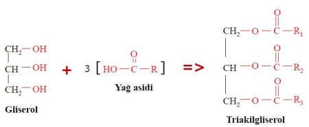 Ad:  lipid1.JPG
Gsterim: 2800
Boyut:  15.6 KB