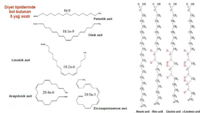 Ad:  lipid3.JPG
Gsterim: 2478
Boyut:  24.8 KB