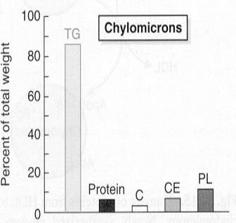 Ad:  lipid10.JPG
Gsterim: 2309
Boyut:  20.6 KB
