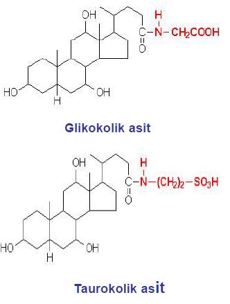 Al�nt�daki Ek 49101