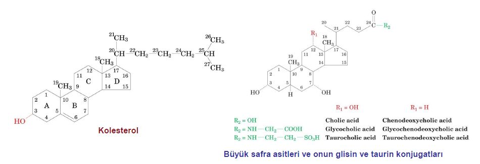 Ad:  lipit3.JPG
Gsterim: 1007
Boyut:  36.6 KB