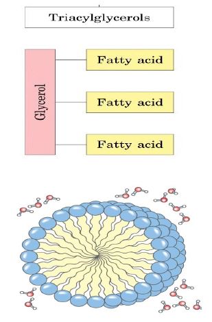 Ad:  lipit5.JPG
Gsterim: 1060
Boyut:  32.4 KB