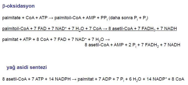 Ad:  lipit17.JPG
Gsterim: 2098
Boyut:  43.1 KB