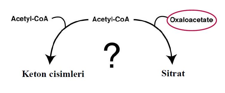 Ad:  lipit20.JPG
Gsterim: 866
Boyut:  26.5 KB