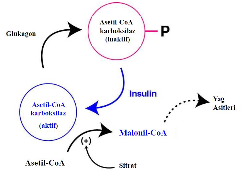 Ad:  lipit23.JPG
Gsterim: 1351
Boyut:  44.1 KB