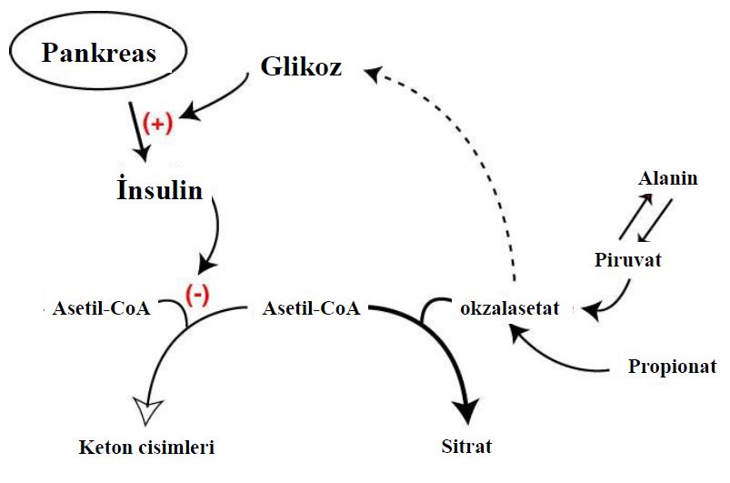 Ad:  lipit25.JPG
Gsterim: 881
Boyut:  39.3 KB