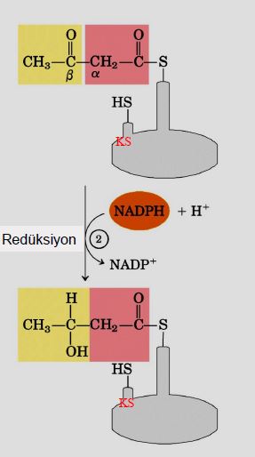 Ad:  lipit32.JPG
Gsterim: 1164
Boyut:  22.9 KB