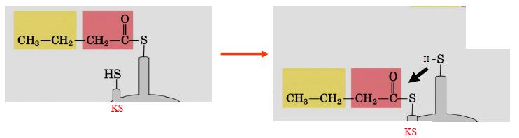 Ad:  lipit35.JPG
Gsterim: 1122
Boyut:  19.6 KB