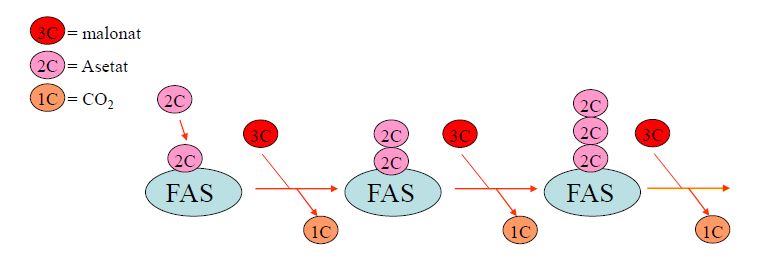 Ad:  lipit36.JPG
Gsterim: 1158
Boyut:  29.0 KB