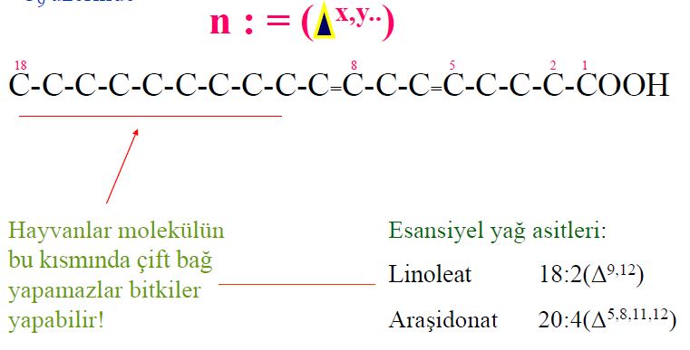 Ad:  lipit38.JPG
Gsterim: 1800
Boyut:  42.0 KB