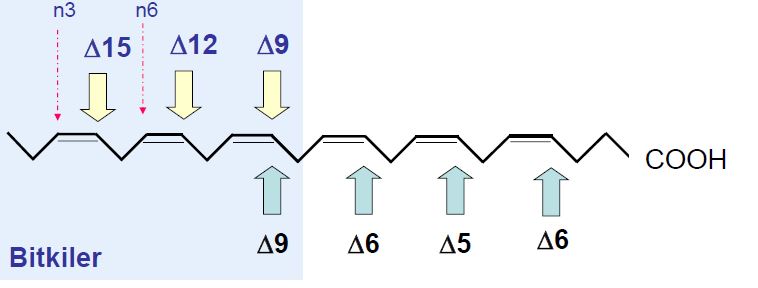 Ad:  lipit40.JPG
Gsterim: 1186
Boyut:  26.5 KB